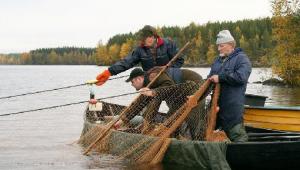 Пошаговая инструкция о том, как вязать рыболовные сети своими руками и с помощью станка